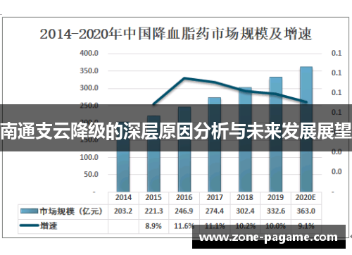 南通支云降级的深层原因分析与未来发展展望 南通支云降级的深层原因分析与未来发展展望