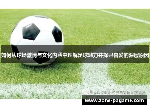 如何从球场激情与文化内涵中理解足球魅力并探寻喜爱的深层原因