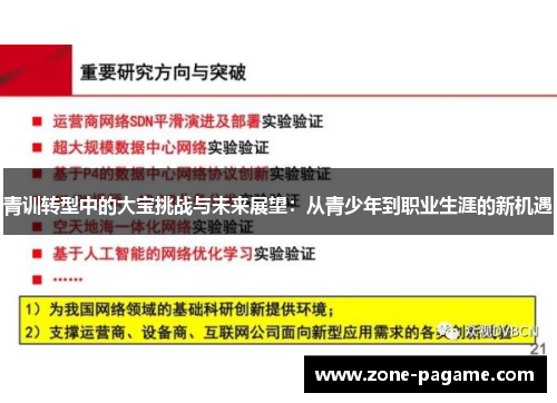 青训转型中的大宝挑战与未来展望：从青少年到职业生涯的新机遇