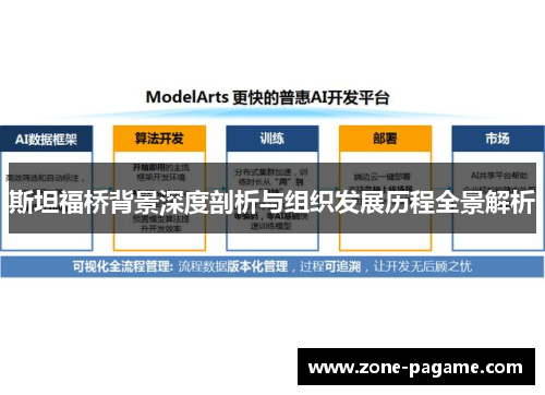 斯坦福桥背景深度剖析与组织发展历程全景解析