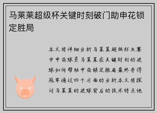 马莱莱超级杯关键时刻破门助申花锁定胜局