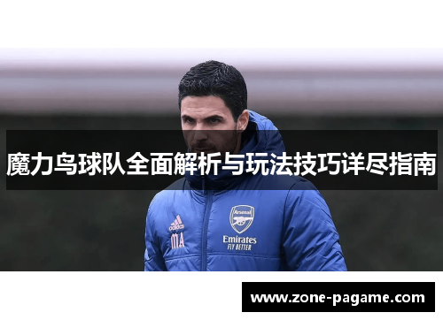 魔力鸟球队全面解析与玩法技巧详尽指南 魔力鸟球队全面解析与玩法技巧详尽指南